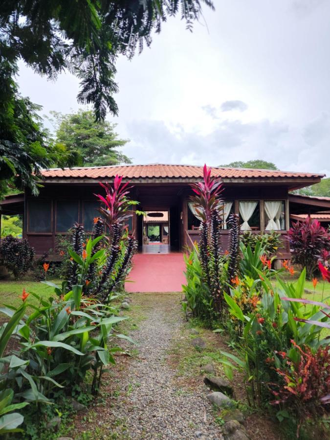 Hotel Canto De Ballenas 乌维塔 外观 照片