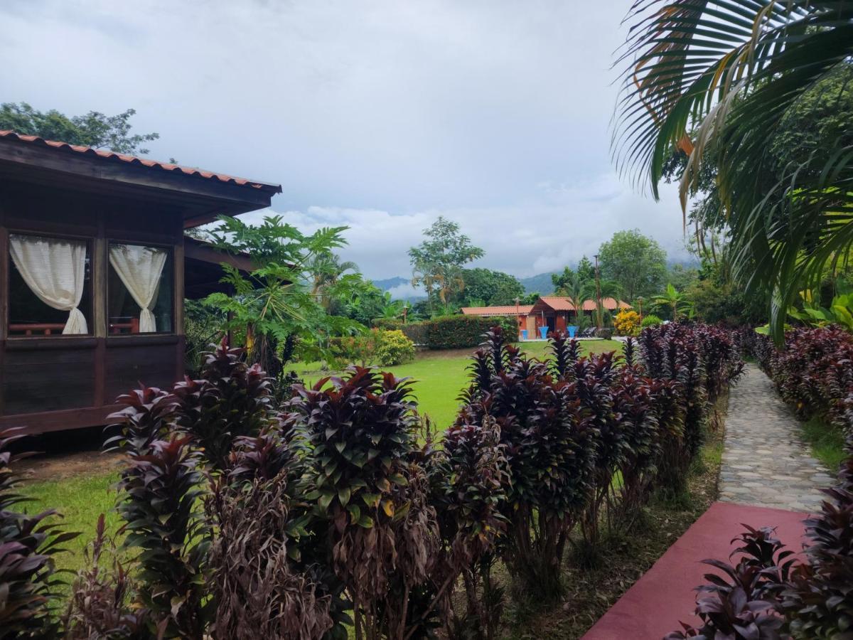 Hotel Canto De Ballenas 乌维塔 外观 照片