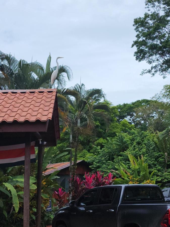 Hotel Canto De Ballenas 乌维塔 外观 照片