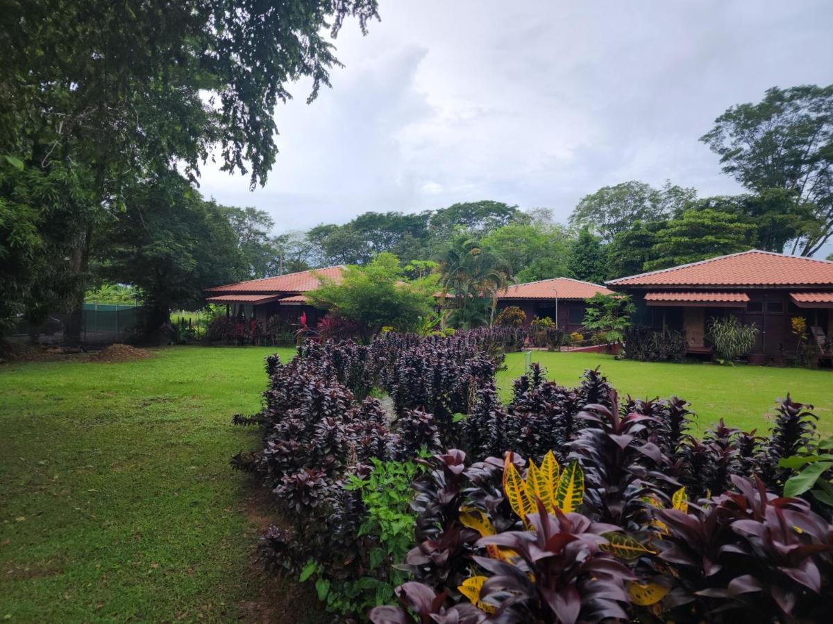 Hotel Canto De Ballenas 乌维塔 外观 照片