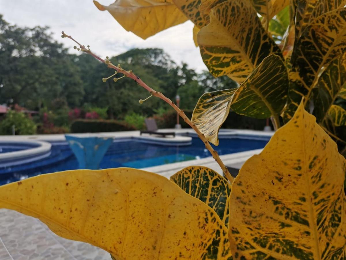 Hotel Canto De Ballenas 乌维塔 外观 照片